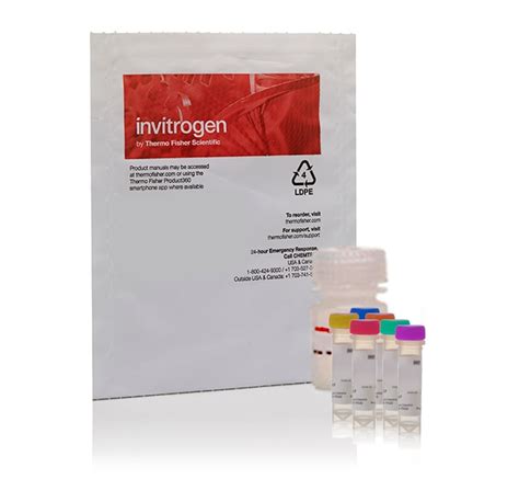 active caspase 3 elisa kit|invitrogen caspase 3 elisa.